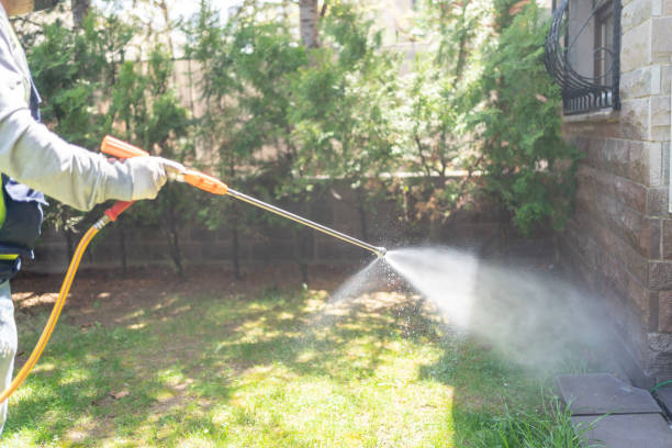 Best Fumigation Services  in Chesterton, IN